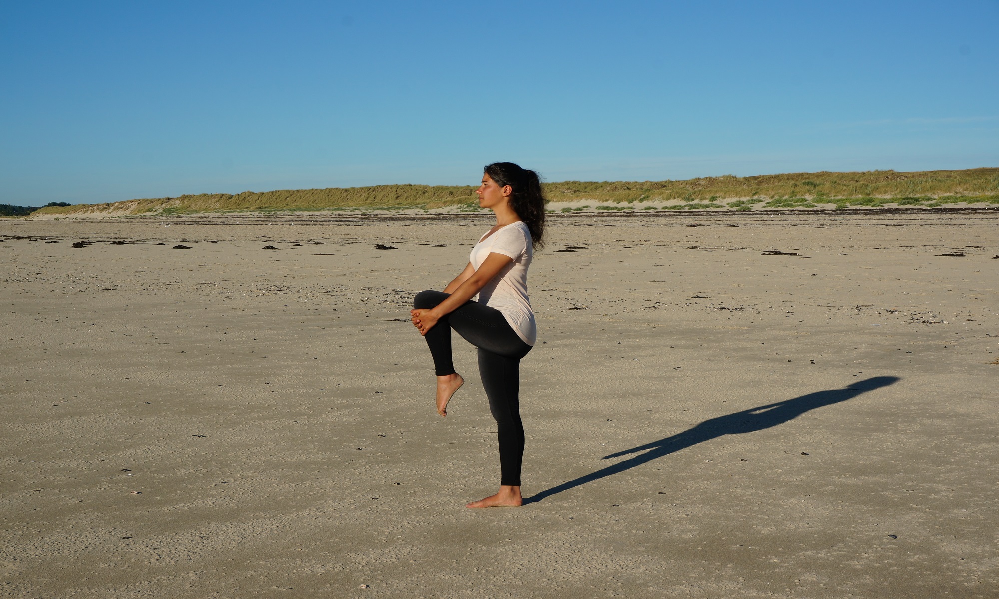 Cours de Yoga